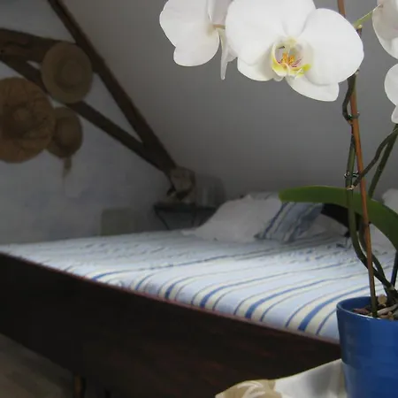 D'hotes Villaine Bed & Breakfast